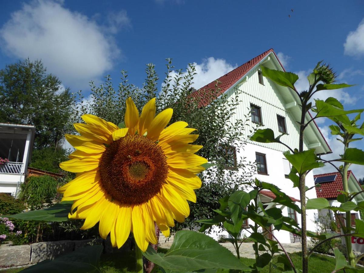 Erholungsraum Karsee - Ferienwohnung Wangen im Allgäu Εξωτερικό φωτογραφία