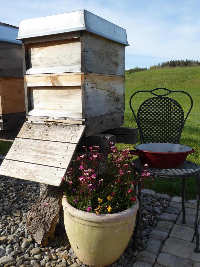 Erholungsraum Karsee - Ferienwohnung Wangen im Allgäu Εξωτερικό φωτογραφία